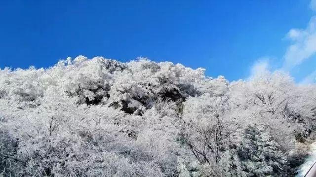 丧尸围城2