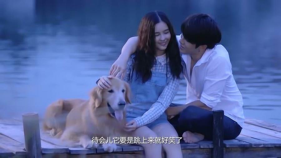 全民烧脑3去广告版