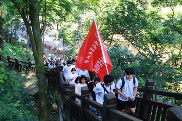 起重机卡车找不同