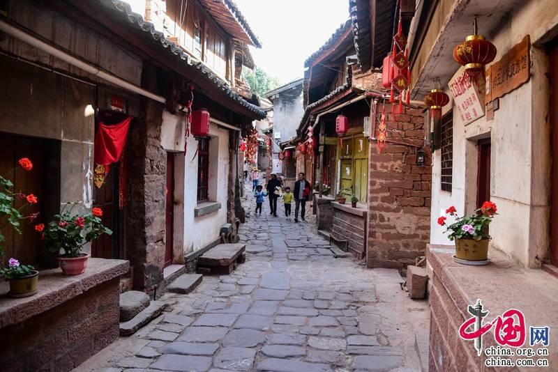 奥莉的夏威夷之旅